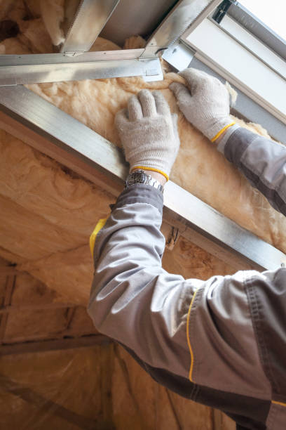 Best Insulation Contractors for Homes  in North Hudson, WI