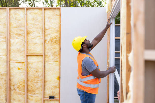 Best Cellulose Insulation  in North Hudson, WI