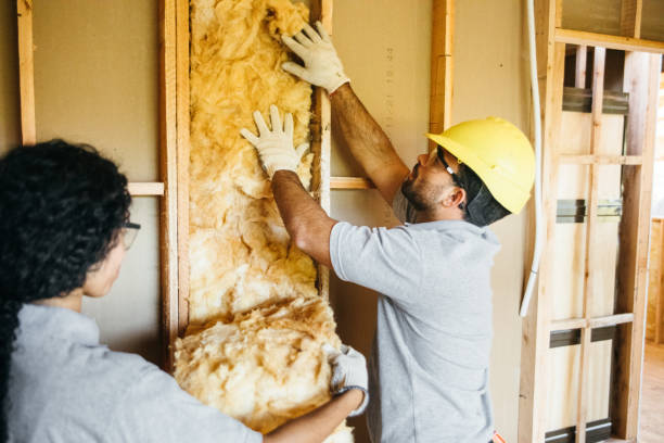 Best Insulation Contractors for Homes  in North Hudson, WI