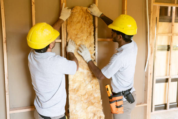 Professional Insulation Contractor in North Hudson, WI