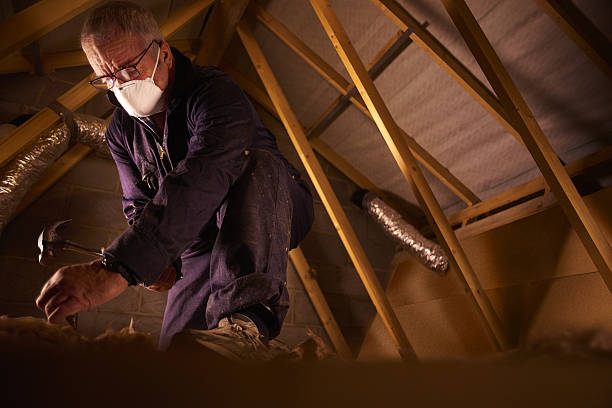 Insulation for New Construction in North Hudson, WI