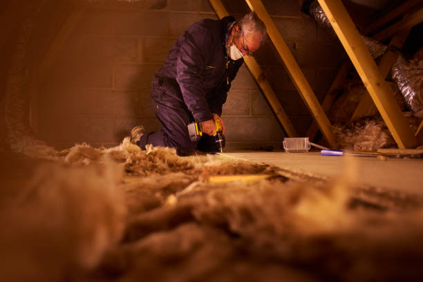 Best Blown-in Insulation  in North Hudson, WI